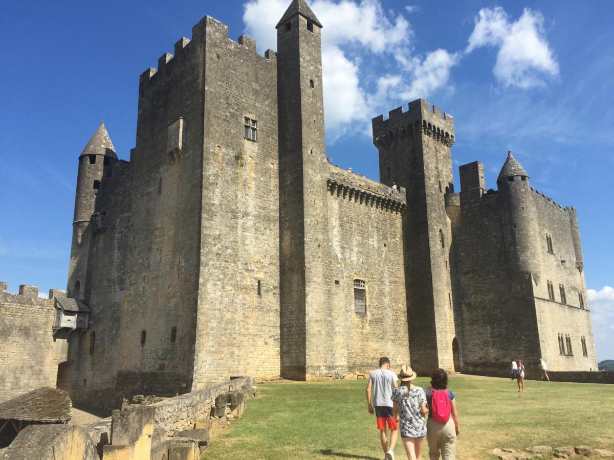 Au Coeur De Beynac, Une Maison De Caractere Avec Jardin Terrasse エクステリア 写真