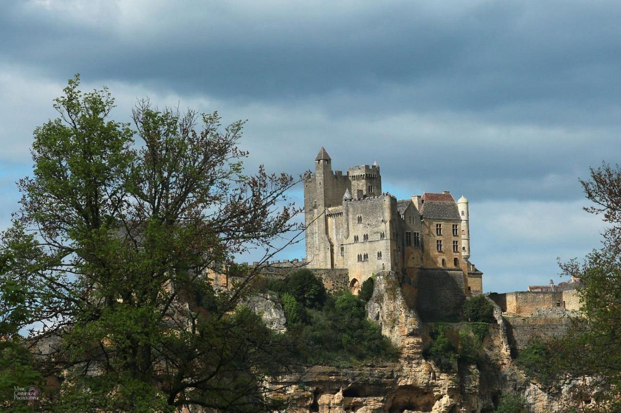 Au Coeur De Beynac, Une Maison De Caractere Avec Jardin Terrasse エクステリア 写真