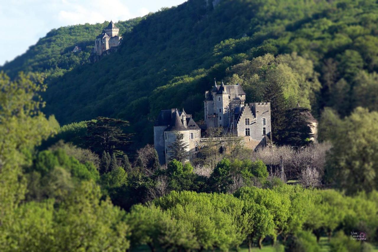 Au Coeur De Beynac, Une Maison De Caractere Avec Jardin Terrasse エクステリア 写真